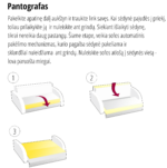 pantografas