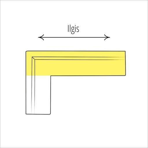 Ilgis